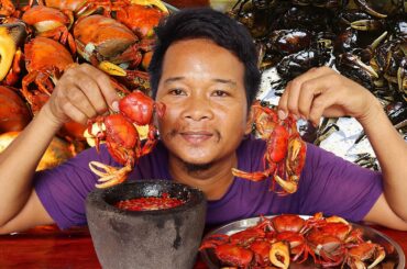 Eat Raw Crabs With Super Spicy Chili Salt | KING of CRAB cooking | Spicy crab recipe