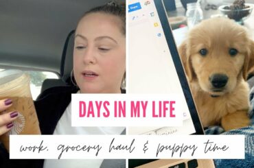 Vlog// Grocery Haul (Sprouts, Trader Joe’s & Costco), Chili Recipe & Work Day