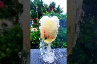 Chili peppers Cooking with grass