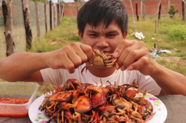 Roasting field crab with chili recipe