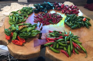 Grew some peppers, want to make several kinds of hot sauce. Anyone know of some Carolina Reaper and Ghost pepper recipes that are truly hot?