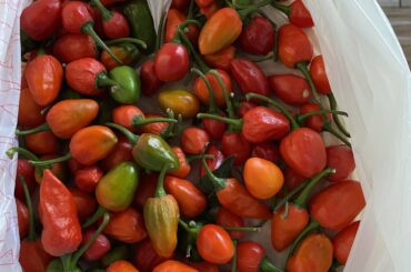 What kind of peppers are these?