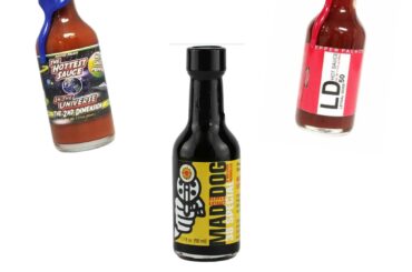 Which one should I get?