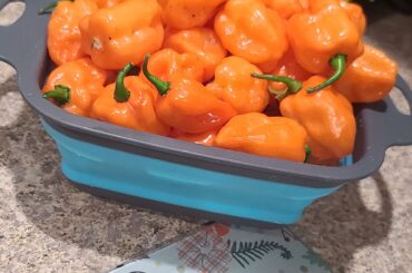 Picked some spicy boys.