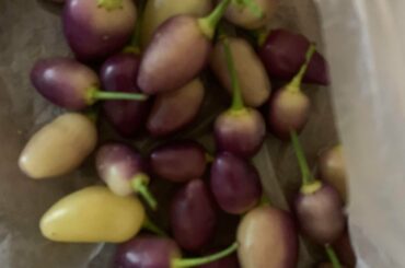 What kind of chile pepper?