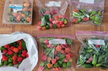 Help me figure out what to do with all of these hot peppers!