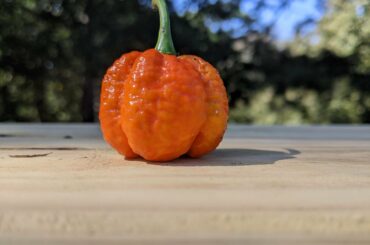 Can I get in on this spooky spicy trend?