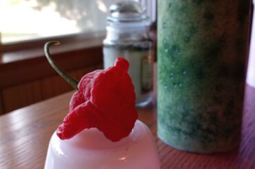 What kind of pepper is this?