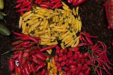 Hot pepper season has been wildly productive in my garden. Included: serrano, poblano, hot lemon, berbere, pointsettia, habanero, datil, jalapeno, and Thai chili.