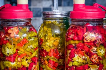 Second harvest of the year - Reapers / Ghosts / Chocolate Habaneros - still have a garden full of scorpions and ghosts to go.