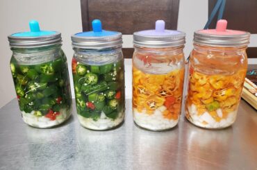 Please check out my ferment process!
