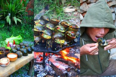 Cooking Snails BBQ on Rock - Eating Snail BBQ with Chili Sauce So Yummy