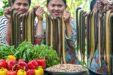 COOKING HOT SPICY EEL With CHILI & HOLY BASIL RECIPE IN VILLAGE - Donation Food in Country