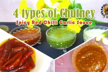 Spicy Red Chili Garlic Chutney | Easy Dips and Sauce | Flavour Feast by Moona