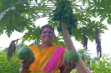 Yummy Raw Papaya Fry Recipe | Papaya Chilli | Easy Snacks Recipe | Village Food | Side Dish Recipes