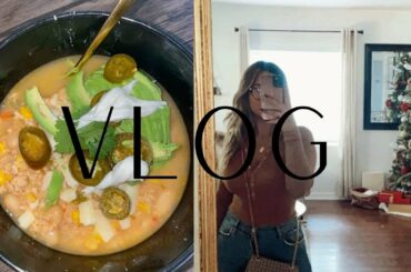 VLOG | Veteran's Day, Crock Pot Recipe