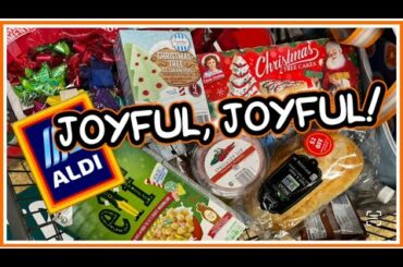 Holiday Vibes!! Thanksgiving Week ALDI Grocery Haul November 2021