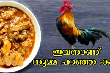 How To Make Chilly Chicken Without Frying| Chilly Chicken Recipe Malayalam| Non Fried Chilly Chicken