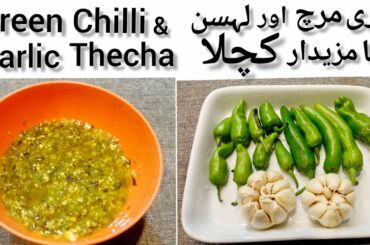 Green Chilli & Garlic Thecha Recipe | Hari Mirch Aur Lehsun Ka Bihari Kuchla | Simple & Easy Cooking