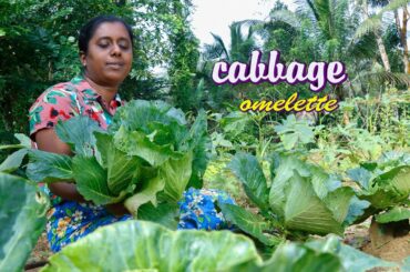 I make delicious omelettes from the cabbage I harvest from my garden. Village kitchen recipe