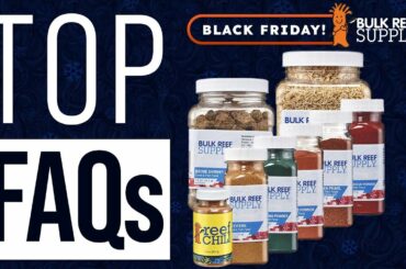 Hatch Your Own Brine Shrimp? DIY Your Saltwater Fish & Coral Food to Save $$!