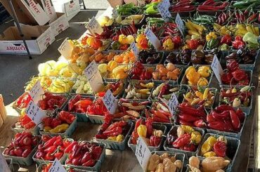 Worked on a Jerk Paste recipe over the summer