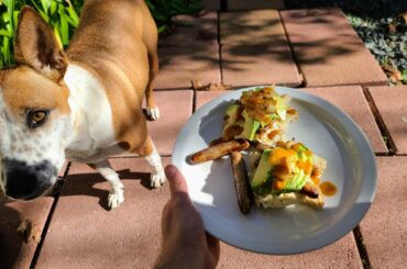 This morning's open-faced breakfast sandwich with garlic sourdough toast, eggs over easy, maple sausage, sauteed onions, and avocado. Anointed with Secret Aardvark.