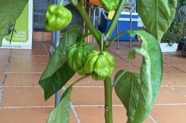 Things are about to heat up!