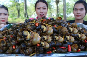 Yummy cooking snail stir-fry with chili recipe - Snail stir-fry cook and eat
