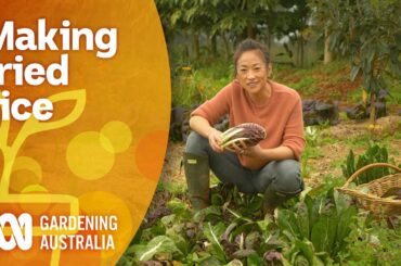 How to make one-wok chilli fried rice | Cooking Your Garden Produce | Gardening Australia