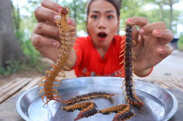 Mukbang centipede fried with chili sauce - Cook and eat centipede