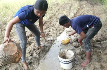 Go Fishing In The Rice Fields, Fry And Eat Chili Sauce Vegetables.