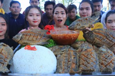 Fish fried with chili sauce and rice recipe - Cook and eat fish fried recipe