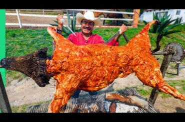 Eating Lion, Llama and Wild Boar!! Mexico's Exotic Meat Obsession!!!