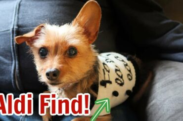 Day Doesn't Go As Planned | Amazingly Stocked Aldi Haul | Vlogmas Day 17