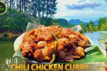 Chili Chicken Curry Recipe | chili chicken dry recipe | Relaxing Cook | Spicy Sri Lankan Recipe