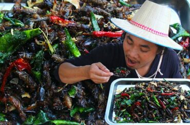 Yummy Cooking Crickets Recipe Eating with Chili - Fry Cricket with Lemongrass and Chili