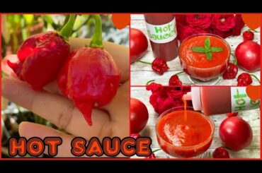 Hot Sauce Recipe || Chili Sauce || Best Homemade Hot Sauce