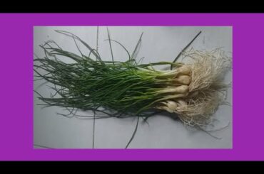 resep sambal daun bawang#shorts