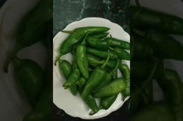 Easy to cook recipe| Hari Mirch ki  Sbji || #shorts #youtubeshorts #ytshorts #ssrvflavours #Trending