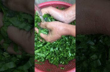 How to Wash and Cut Spinach | Palak Cutting Karne ka Tarika | How to Clean Spinach #Shorts