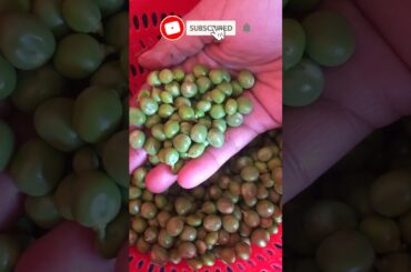 Aloo Matar for Rice Pulao | Matar Aloo Pulao Recipe | Aloo Matar Biryani Recipe #Shorts