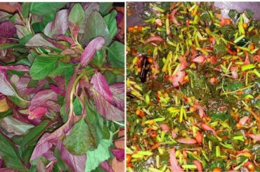 Amaranthus Garlic Chili || Healthy Protein Recipe Side dish for Rice Rasam Roti | Thotakura Karam