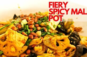 SPICY Numbing MALA Pot you have to try!