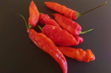 Fijian bongo chilies