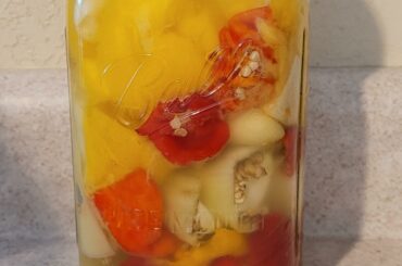 First time fermenting scorpion peppers for hot sauce. See ya'll in 2.5 weeks!