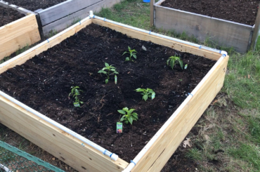 This "self watering" prototype that I worked on over the summer. Any thoughts? I have adjusted a couples things