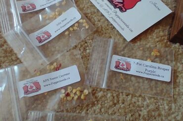 I received an amazing gift for Christmas for the next grow season.