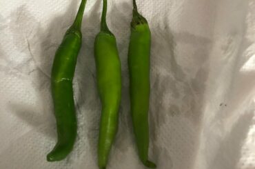 Need to know what chilles are these ones?