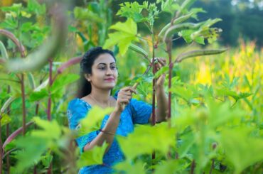 A Lady fingers finely weaves traditional sweet by slime of ladies fingers|Poorna - The nature girl